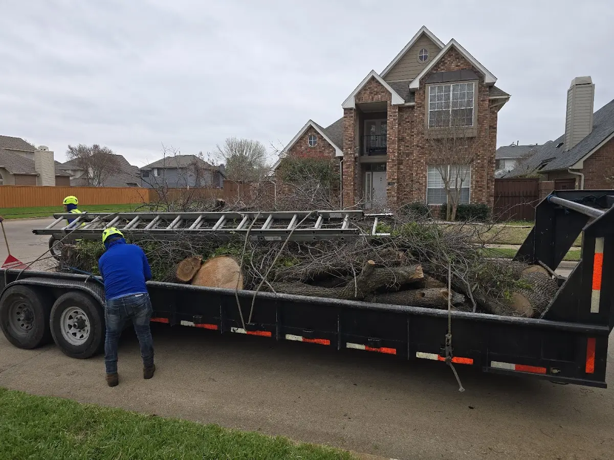 Expert Tree Removal with proper safety equipment in Rockford
